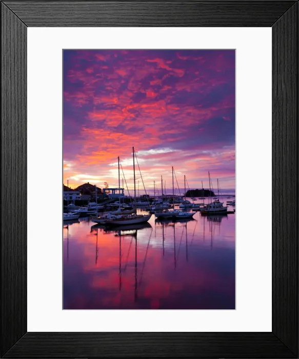Framed Print : Camden Harbor at Sunrise, Maine, USA Framed Print : Camden Harbor at Sunrise, Maine, USA