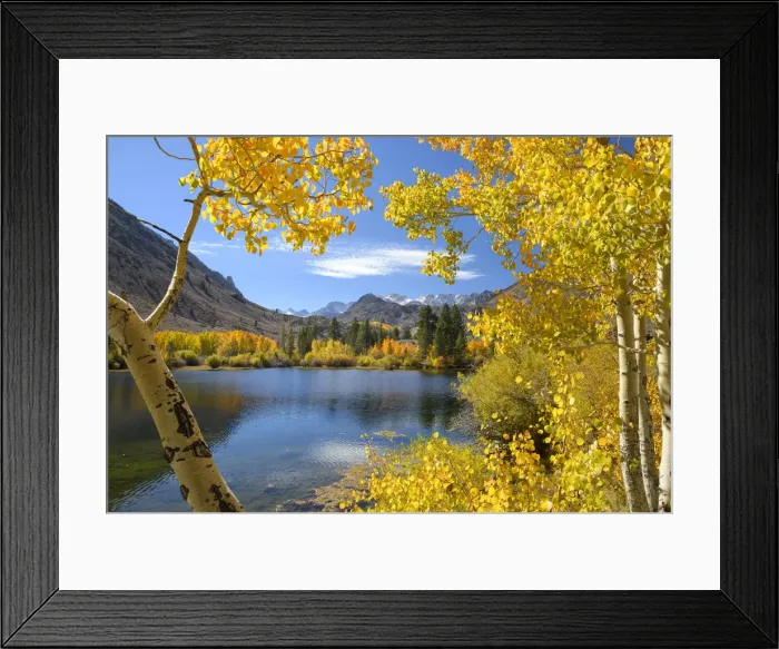 Framed Print : USA, California, Eastern Sierra, Bishop, Bishop creek in fall