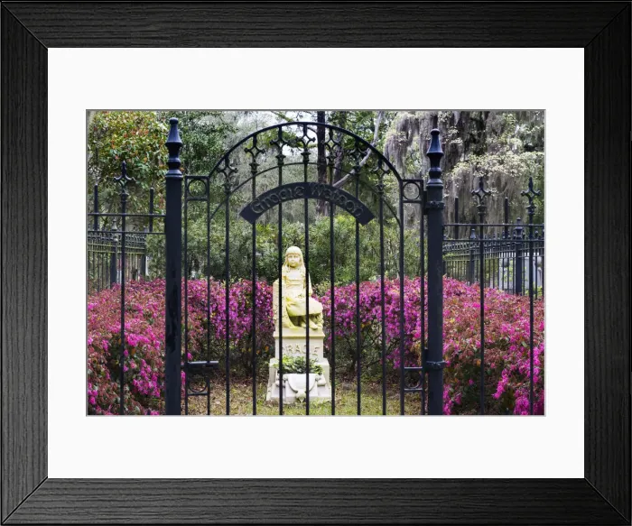 Framed Print : USA, Georgia, Savanah, Tree lined bath way in the Bonaventure Cemetery Framed Print : USA, Georgia, Savanah, Tree lined bath way in the Bonaventure Cemetery