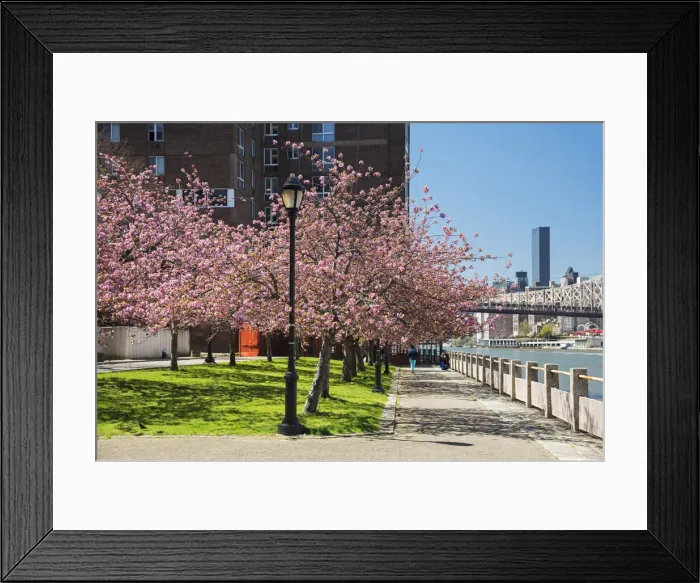 Framed Print : USA, East Coast, New York, Midtown, East River, Roosevelt Island Framed Print : USA, East Coast, New York, Midtown, East River, Roosevelt Island