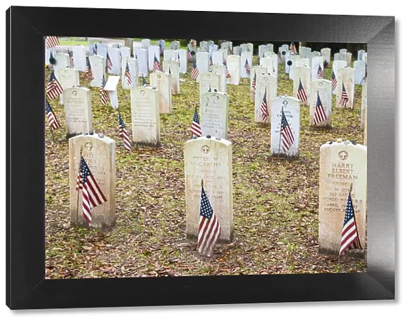 USA, Georgia, Savannah, Flags at Bonaventure cemetery