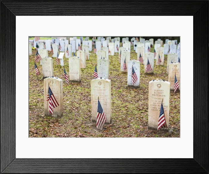 Framed Print : USA, Georgia, Savannah, Flags at Bonaventure cemetery Framed Print : USA, Georgia, Savannah, Flags at Bonaventure cemetery