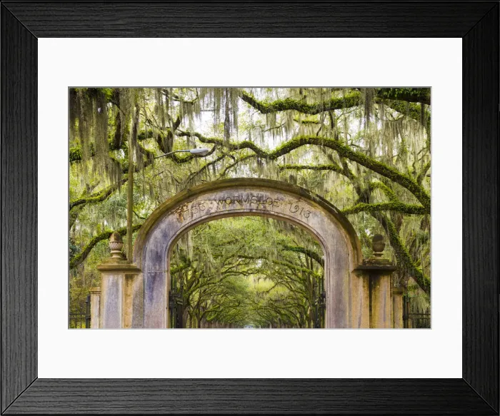 Framed Print : USA, Georgia, Savannah, Entrance to Wormsloe Plantation Framed Print : USA, Georgia, Savannah, Entrance to Wormsloe Plantation