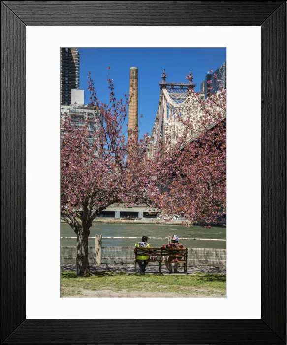 Framed Print : USA, East Coast, New York, Midtown, East River, Roosevelt Island, Queensboro Bridge Framed Print : USA, East Coast, New York, Midtown, East River, Roosevelt Island, Queensboro Bridge