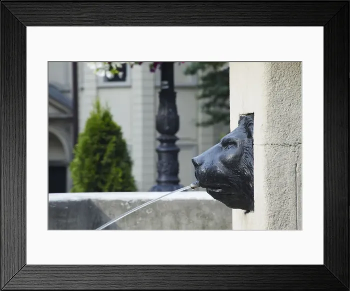 Framed Print : Fountain in Market Square (Ploscha Rynok), Lviv, Ukraine Framed Print : Fountain in Market Square (Ploscha Rynok), Lviv, Ukraine