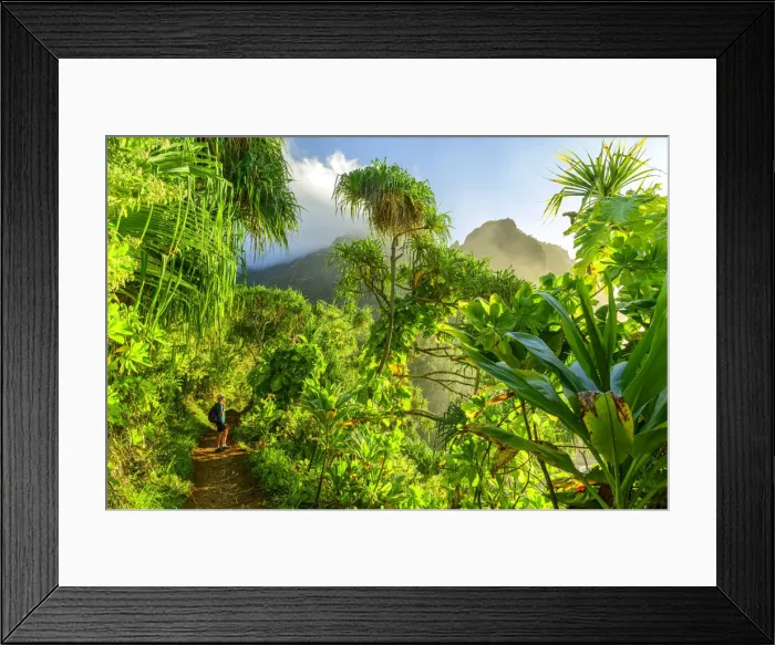 Framed Print : USA, Hawaii, Kauai, Na Pali Coast, woman hiking on coastal trail MR