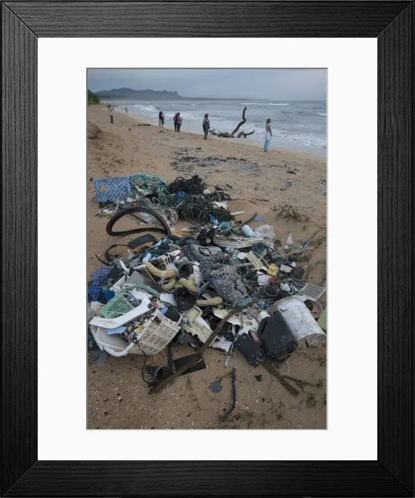 Framed Print : USA, Hawaii, Kauai, tourists watching sunrise