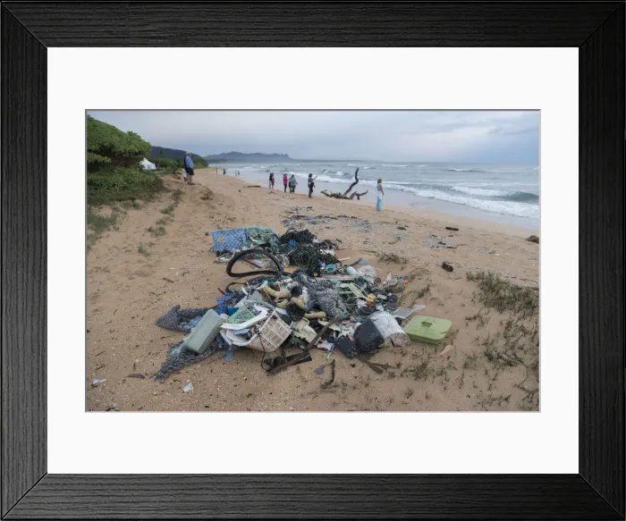 Framed Print : USA, Hawaii, Kauai, plastic garbage and tourists on beach Framed Print : USA, Hawaii, Kauai, plastic garbage and tourists on beach