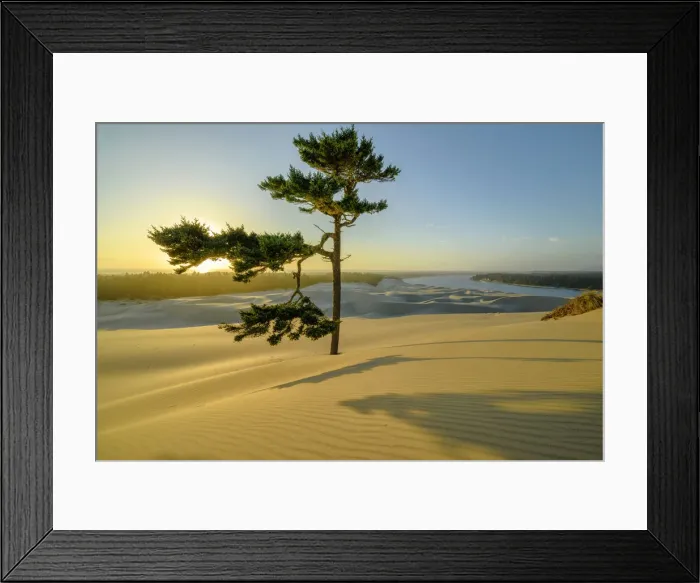 Framed Print : North America, Pacific Northwest, Oregon, Oregon Coast, Oregon Dunes National Recreation