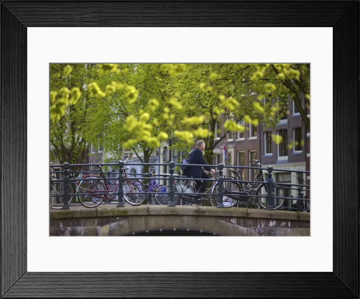 Framed Print : Cyclist, Amsterdam, Netherlands Framed Print : Cyclist, Amsterdam, Netherlands