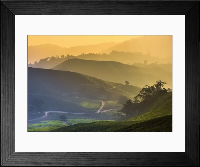 Framed Print : Malaysia, Pahang, Cameron Highlands, Brinchang, Tea Plantation Framed Print : Malaysia, Pahang, Cameron Highlands, Brinchang, Tea Plantation