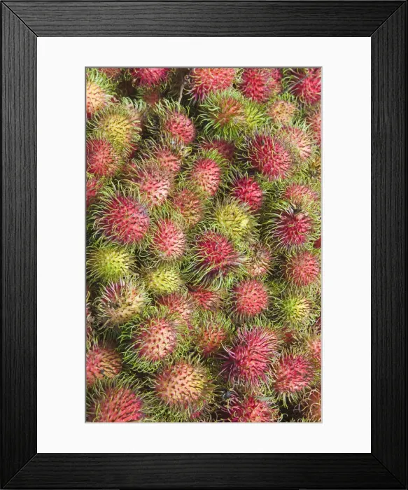 Framed Print : Malaysia, Lycee fruits - detail of Rambutan fruit Framed Print : Malaysia, Lycee fruits - detail of Rambutan fruit