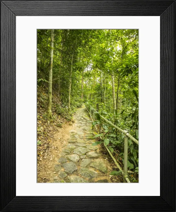Framed Print : Penang Botanical Gardens, George Town, Penang Island, Malaysia Framed Print : Penang Botanical Gardens, George Town, Penang Island, Malaysia
