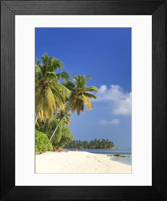 Framed Print : Maldives, Meemu Atoll, Medhufushi Island Framed Print : Maldives, Meemu Atoll, Medhufushi Island