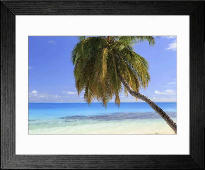 Framed Print : Maldives, South Ari Atoll, Mandhoo Island Framed Print : Maldives, South Ari Atoll, Mandhoo Island