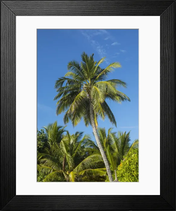 Framed Print : Anantara Dhigu resort, South Male Atoll, Maldives Framed Print : Anantara Dhigu resort, South Male Atoll, Maldives