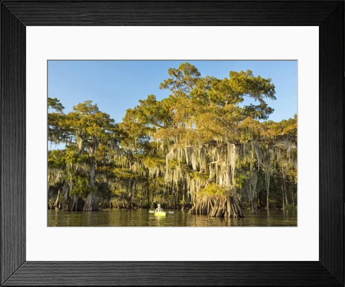 Framed Print : USA, Louisiana, Jefferson Parish, St. Martinville, Lake Fausse Framed Print : USA, Louisiana, Jefferson Parish, St. Martinville, Lake Fausse