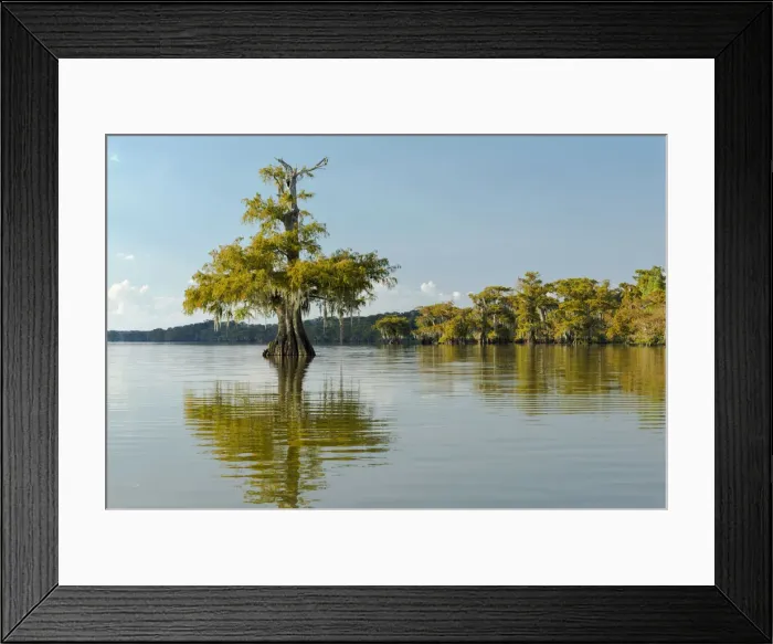 Framed Print : USA, Louisiana, Lake Fausse Pointe State Park is located in Iberia Parish, Louisiana Framed Print : USA, Louisiana, Lake Fausse Pointe State Park is located in Iberia Parish, Louisiana