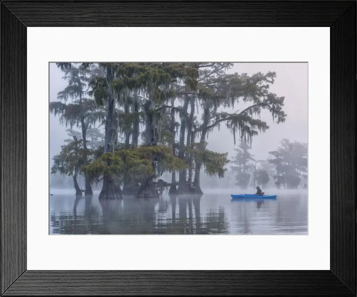 Framed Print : USA, Louisiana, St. Martins Parish, Lake Martin, woman in Kayak, MR Framed Print : USA, Louisiana, St. Martins Parish, Lake Martin, woman in Kayak, MR