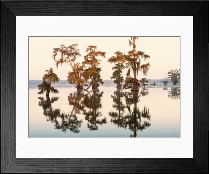 Framed Print : USA, Louisiana, Jefferson Parish, Lafayette, Lake Martin Framed Print : USA, Louisiana, Jefferson Parish, Lafayette, Lake Martin