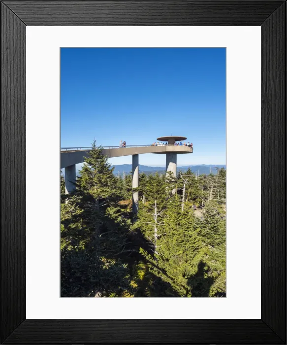 Framed Print : United States, North Carolina, Great Smoky Mountains National Park, Clingmans Dome Framed Print : United States, North Carolina, Great Smoky Mountains National Park, Clingmans Dome