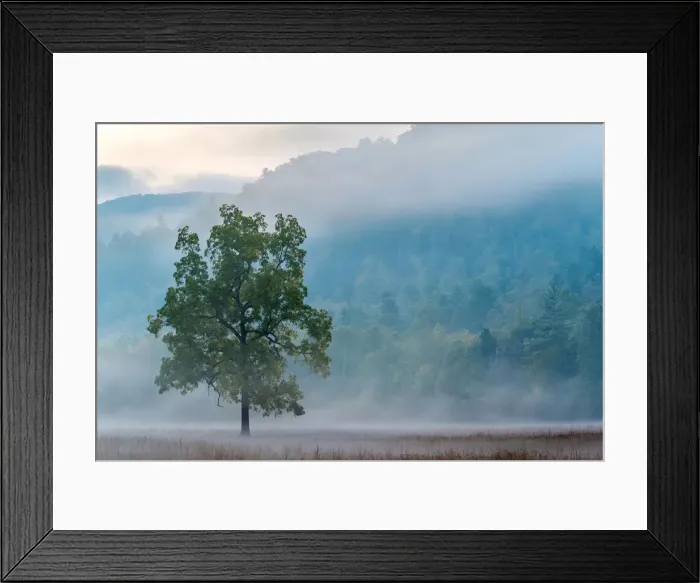 Framed Print : United States, North Carolina, Haywood County, Waynesville. Cataloochee Valley at dawn Framed Print : United States, North Carolina, Haywood County, Waynesville. Cataloochee Valley at dawn
