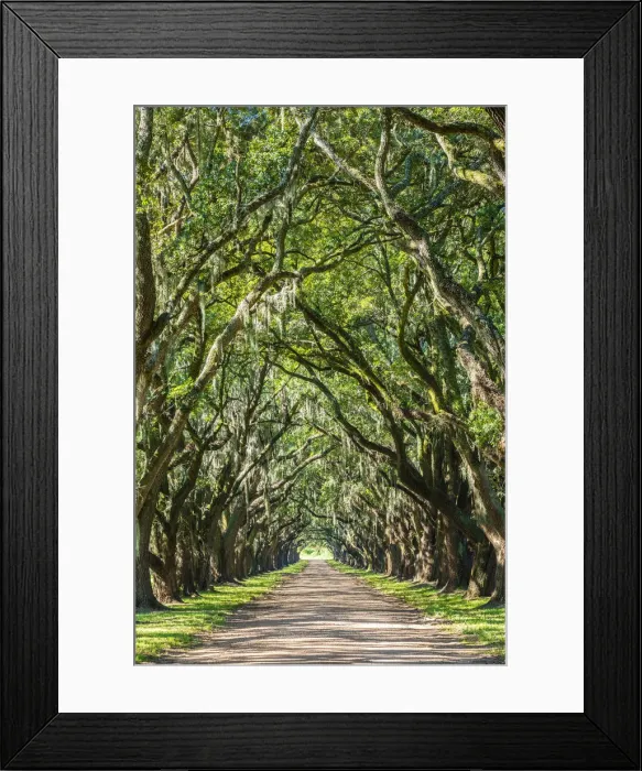 Framed Print : United States, Louisiana, St. John the Baptist Parish Framed Print : United States, Louisiana, St. John the Baptist Parish