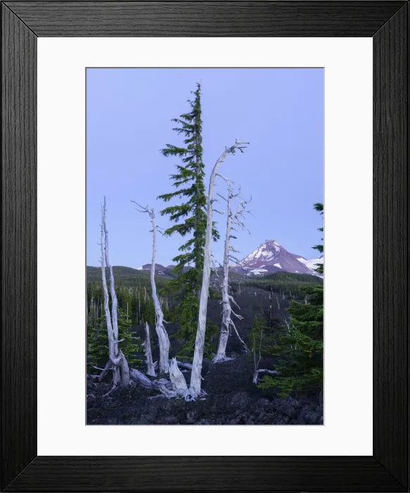 Framed Print : USA, North America, Cascades, Oregon, McKenzie Pass Framed Print : USA, North America, Cascades, Oregon, McKenzie Pass