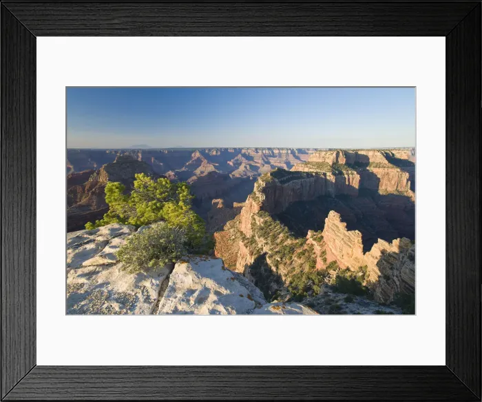 Framed Print : North Rim, Grand Canyon National Park, Arizona, USA Framed Print : North Rim, Grand Canyon National Park, Arizona, USA