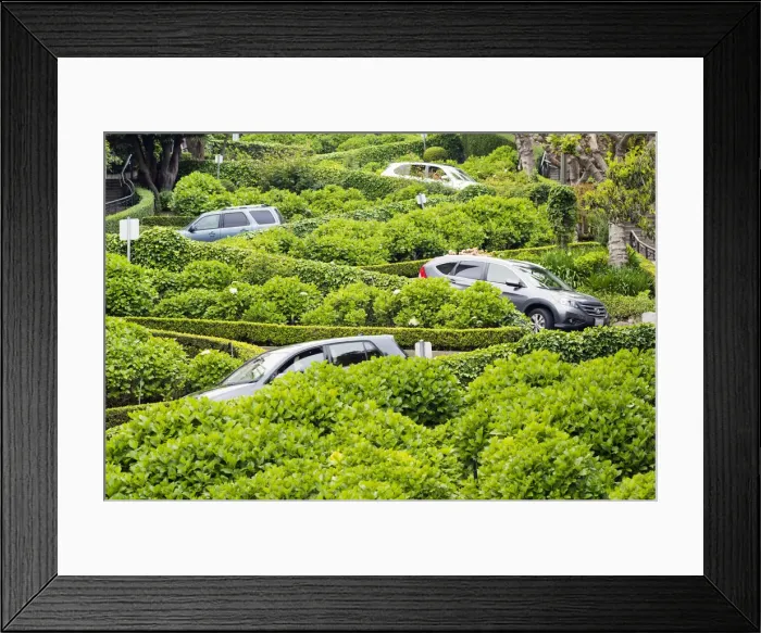 Framed Print : North America, USA, America, California, San Francisco, Lombard street