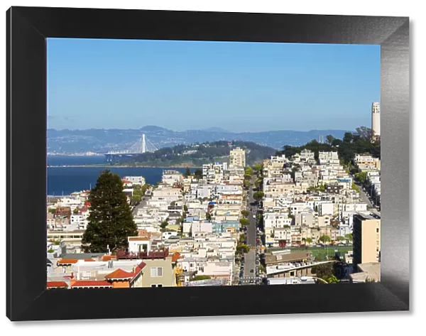 North America, USA, America, California, San Francisco, View of Coit tower from Lombard