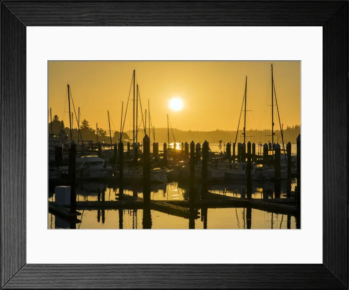 Framed Print : Sunrise in the Kitsap Peninsula, Bremerton, Washington, USA Framed Print : Sunrise in the Kitsap Peninsula, Bremerton, Washington, USA