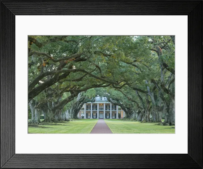 Framed Print : USA, Louisiana, St. James Parish, Vacherie, Oak Alley Plantation