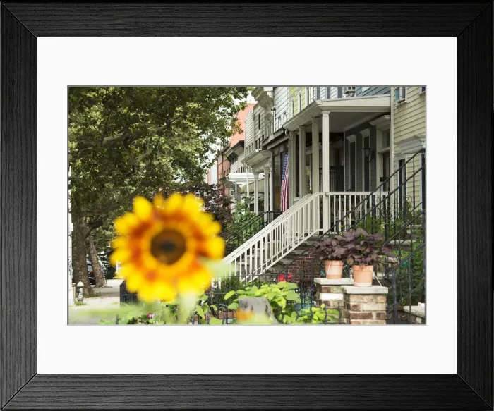 Framed Print : USA, New York, Park Slope, Brooklyn street Framed Print : USA, New York, Park Slope, Brooklyn street