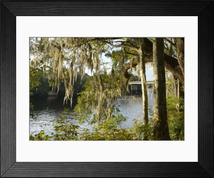 Framed Print : USA, Florida, Dixie County, Suwannee River Framed Print : USA, Florida, Dixie County, Suwannee River
