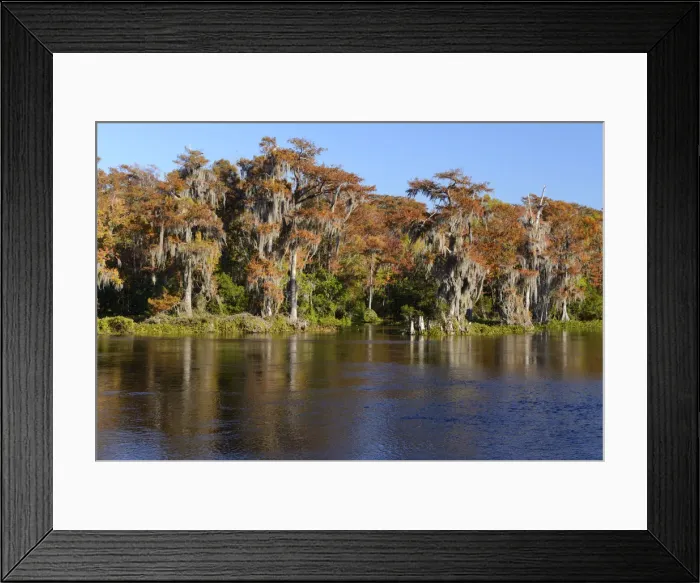Framed Print : USA, Florida, Wakulla Springs State Park, River Framed Print : USA, Florida, Wakulla Springs State Park, River