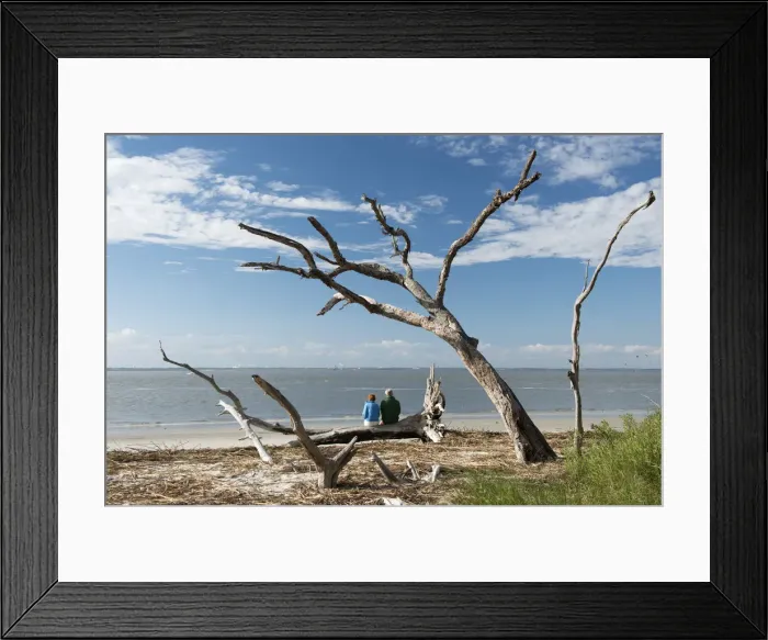 Framed Print : USA, Georgia, the south, southern, Jekyll Island, Driftwood Beach, coast, golden isles Framed Print : USA, Georgia, the south, southern, Jekyll Island, Driftwood Beach, coast, golden isles