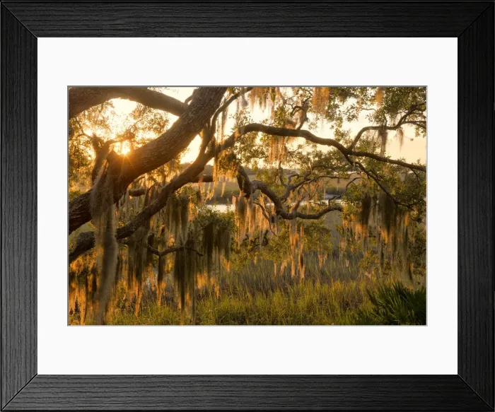 Framed Print : USA, Georgia, Little St. Simons Island, the lodge on the island at sunset Framed Print : USA, Georgia, Little St. Simons Island, the lodge on the island at sunset