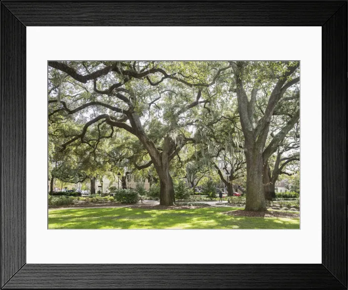 Framed Print : USA, Georgia, Savannah, a square in the city