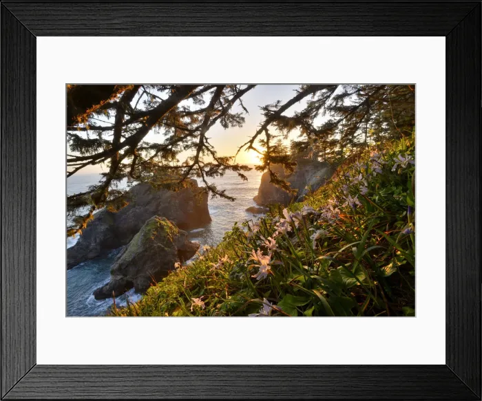Framed Print : Samuel S. Boardman State Park, Oregon, USA Framed Print : Samuel S. Boardman State Park, Oregon, USA