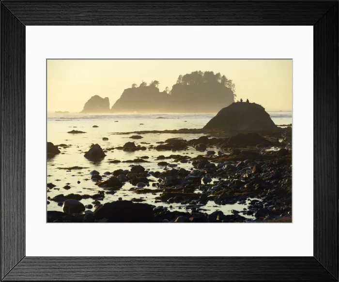 Framed Print : Beach at Cape Alava, Olympic National Park, Clallam County, Washington, USA