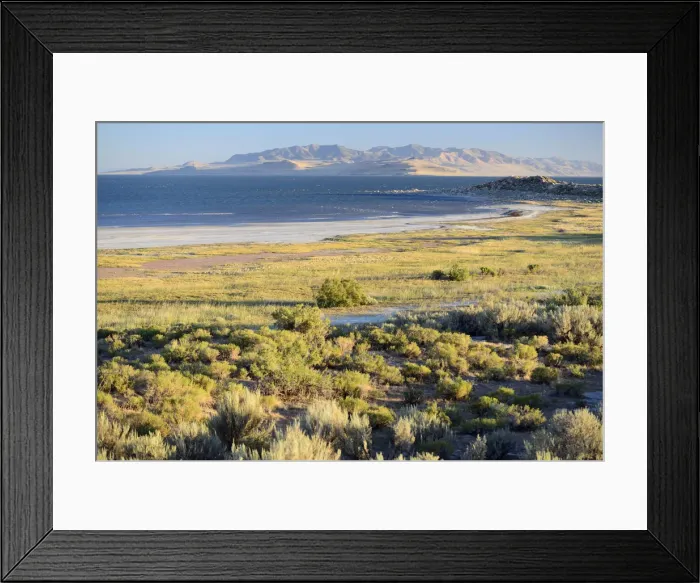 Framed Print : Great Salt Lake, Antelope Island State Park, Salt Lake City, Utah, USA Framed Print : Great Salt Lake, Antelope Island State Park, Salt Lake City, Utah, USA