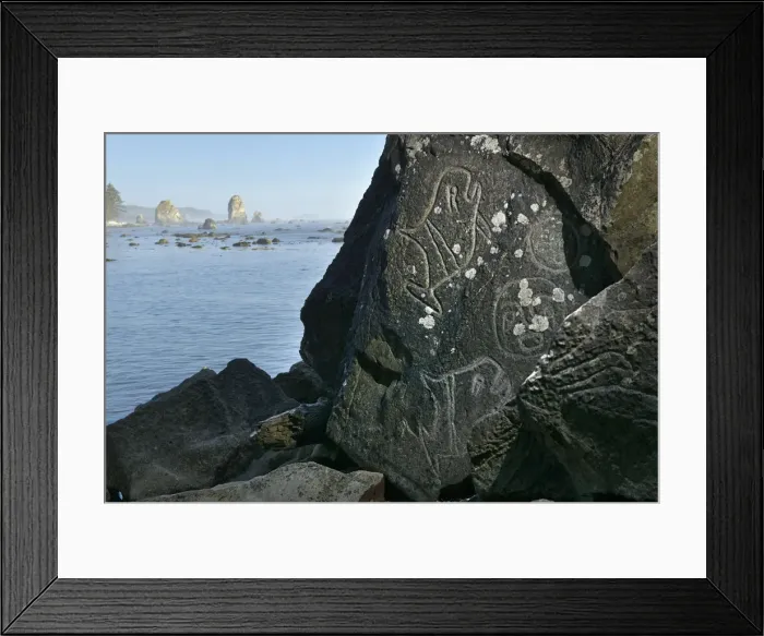 Framed Print : Indian Carvings on Rocks at Cape Alava, Olympic National Park, Clallam County, Washington Framed Print : Indian Carvings on Rocks at Cape Alava, Olympic National Park, Clallam County, Washington