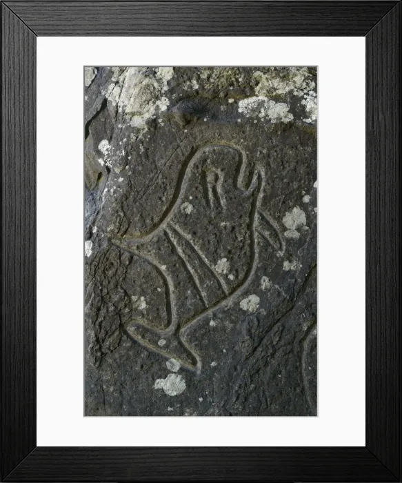 Framed Print : Indian Carvings on Rocks at Cape Alava, Olympic National Park, Clallam County, Washington Framed Print : Indian Carvings on Rocks at Cape Alava, Olympic National Park, Clallam County, Washington