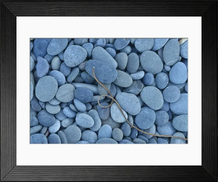 Framed Print : Driiftwood and pebbles at Rialto Beach, Olympic National Park, Clallam County, Washington