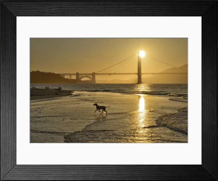 Framed Print : Golden Gate Bridge, San Francisco, USA Framed Print : Golden Gate Bridge, San Francisco, USA