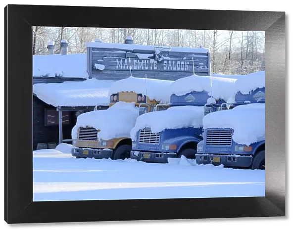Snow covered buses in Fairbanks, Alaska, USA