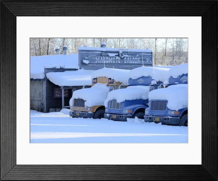 Framed Print : Snow covered buses in Fairbanks, Alaska, USA Framed Print : Snow covered buses in Fairbanks, Alaska, USA