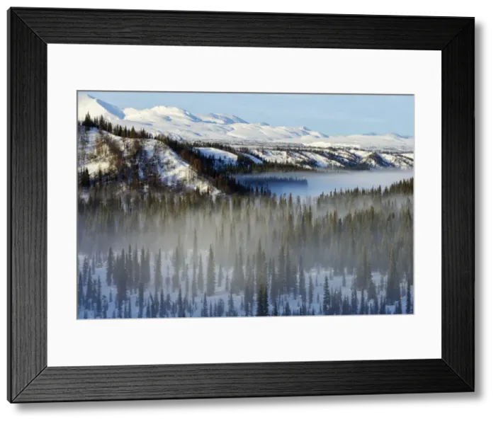 Framed Print : Alaska Railroad trip from Anchorage to Fairbanks in the winter, Alaska, USA Framed Print : Alaska Railroad trip from Anchorage to Fairbanks in the winter, Alaska, USA