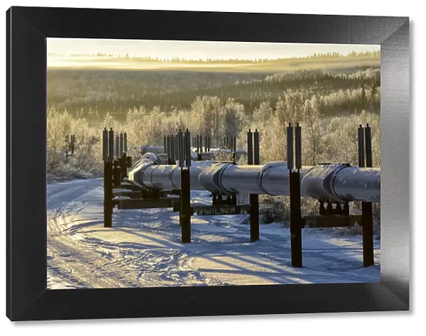 Alaska Pipeline Fairbanks, Alaska, USA